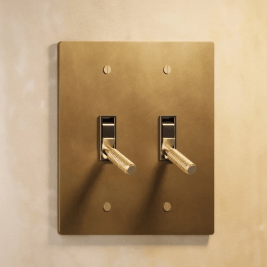 Bronze double toggle switch on a beige wall