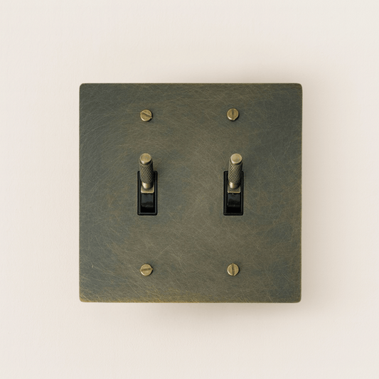 Bronze double switch plate with two toggle switches on a white background