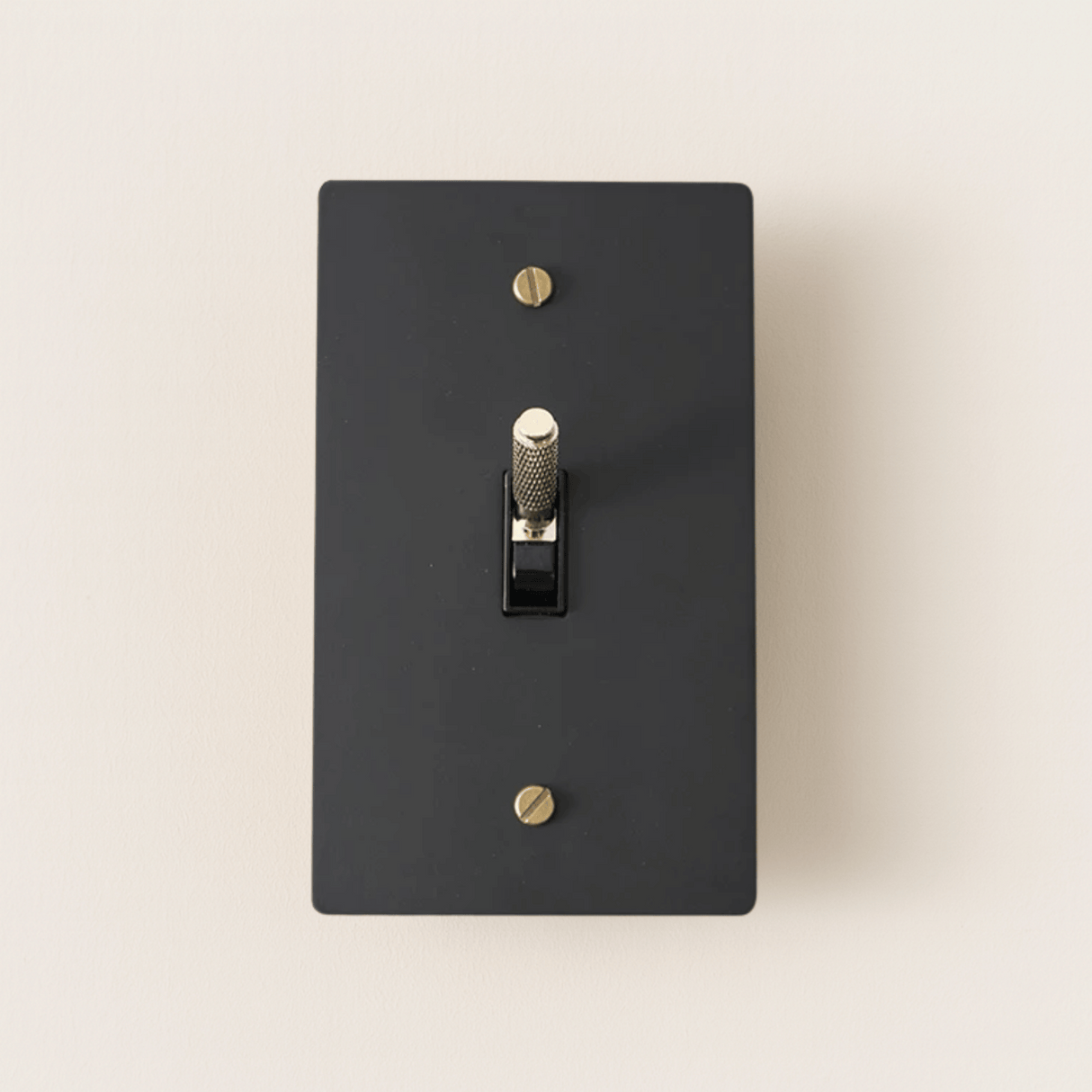Black light switch plate with gold screws on a beige background