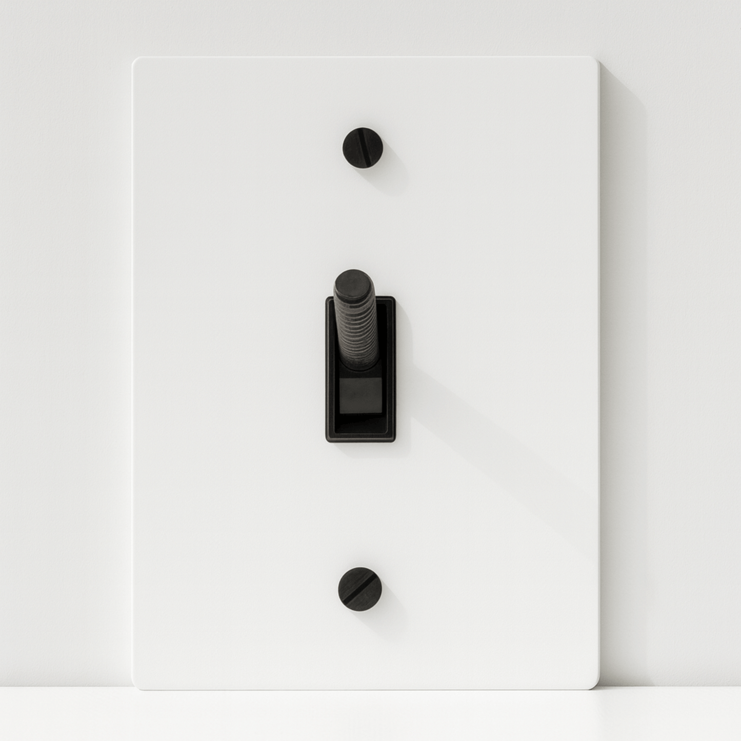 Light switch panel with black rocker switch on a white background