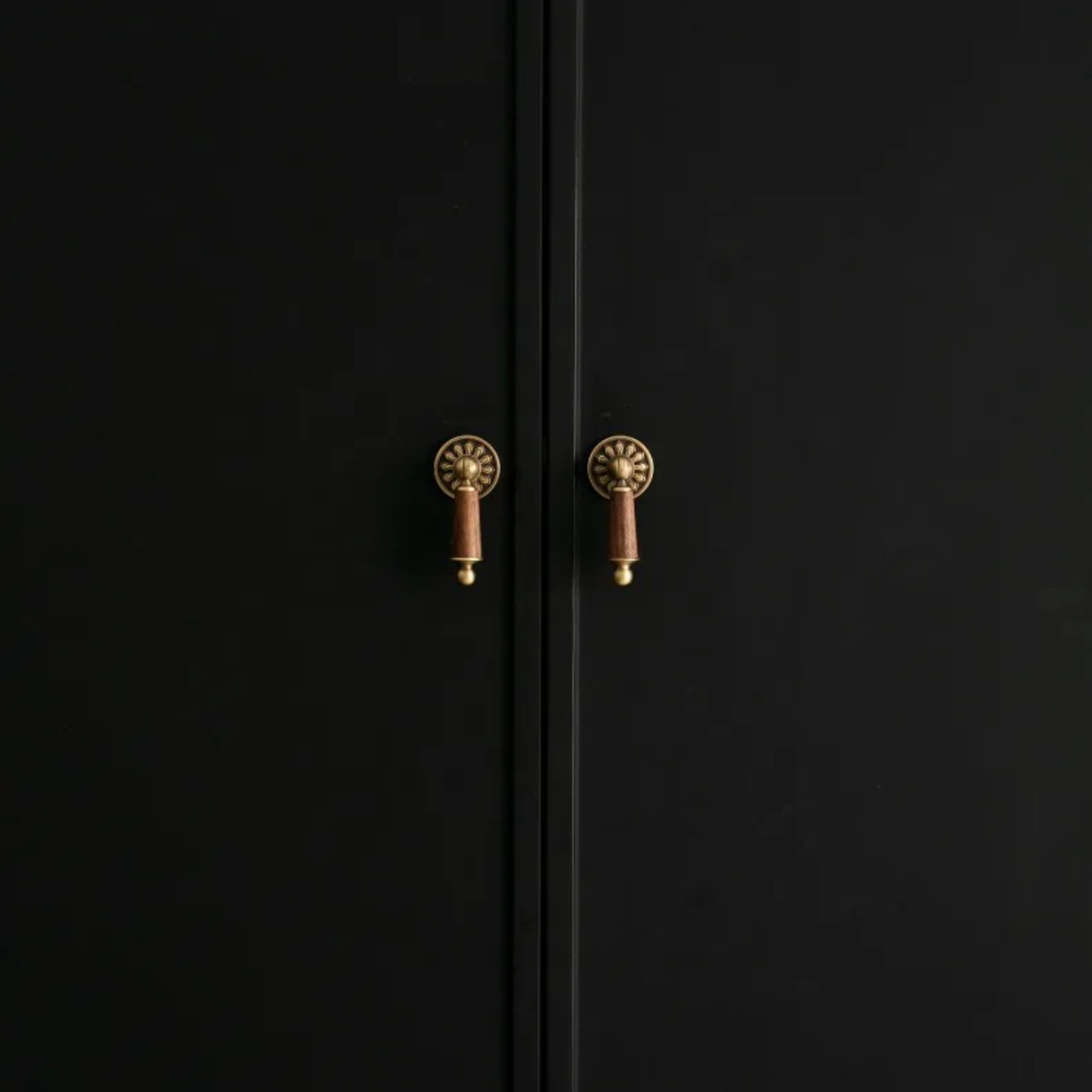 Black cabinet with gold handles on a black background
