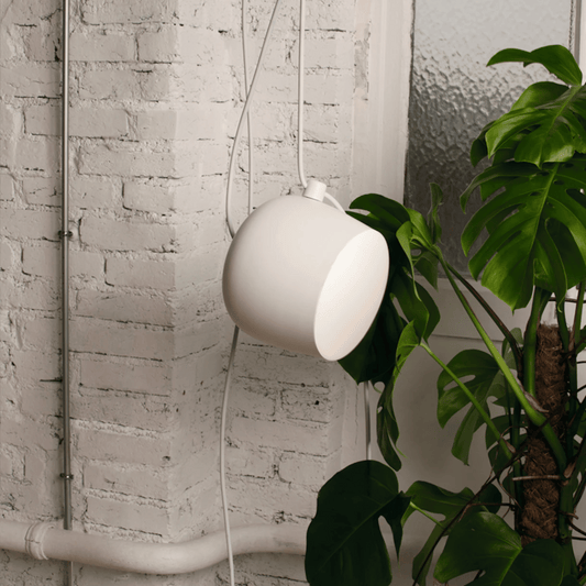 White pendant light hanging against a white brick wall with a plant to the right.