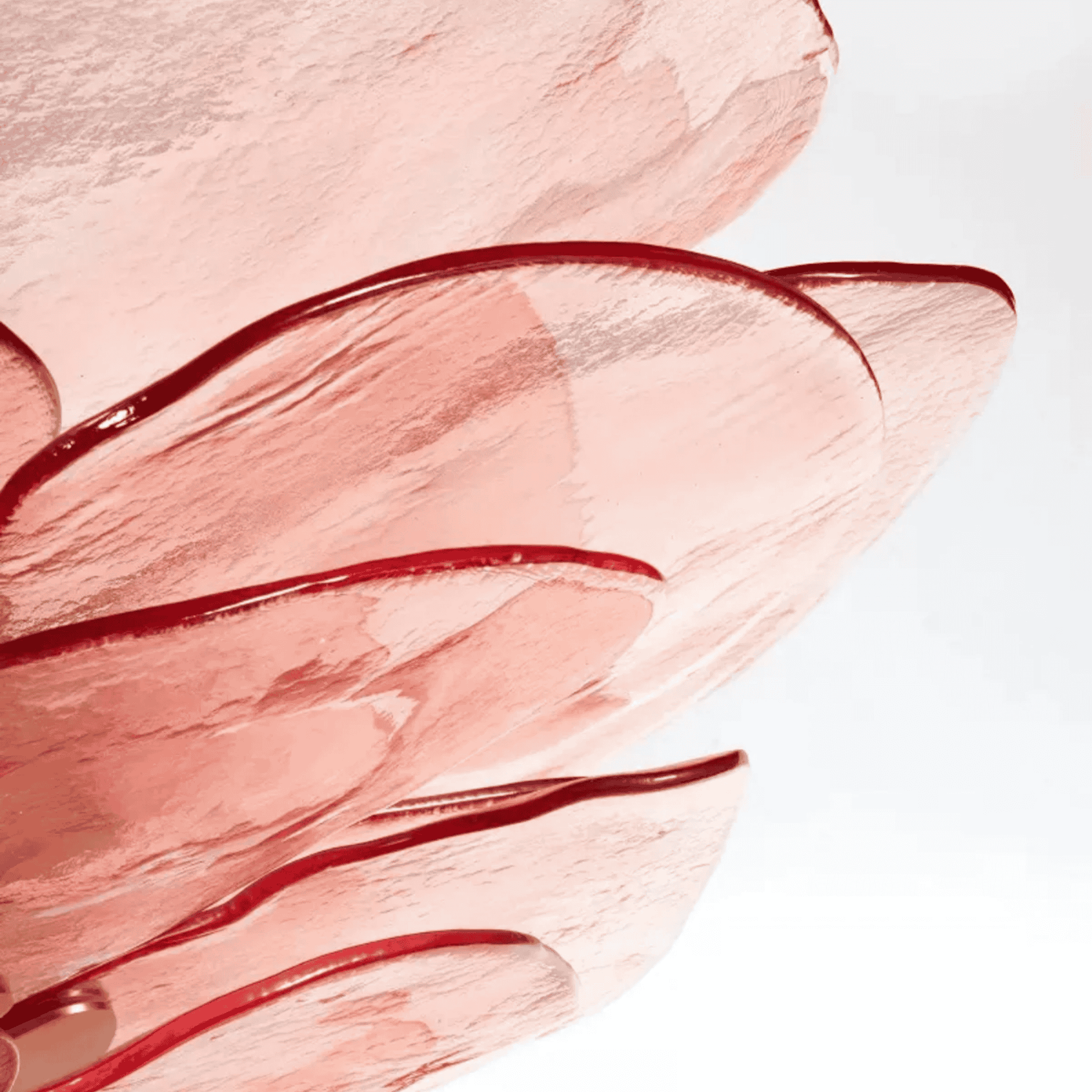 Close-up of pink and red abstract paint strokes on a light background