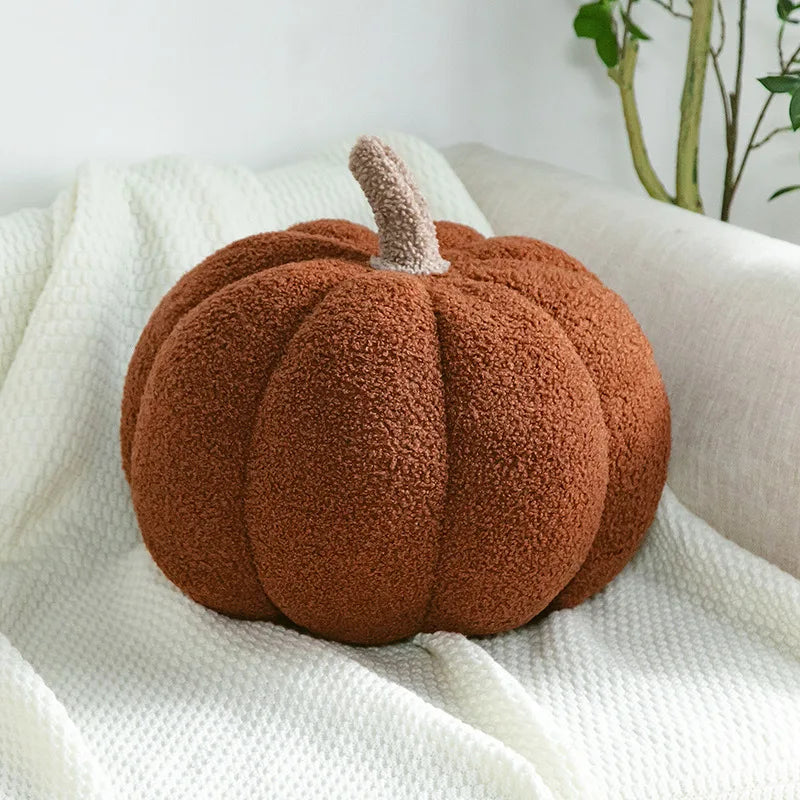 Brown teddy bear pumpkin on a white surface with a plant in the background
