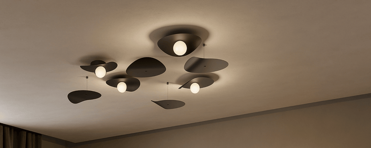 Mounted Ceiling Lights