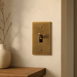 Brass light switch on a beige wall with a wooden shelf and vase in the foreground
