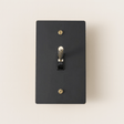 Black light switch plate with gold screws on a beige background