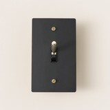 Black light switch plate with gold screws on a beige background