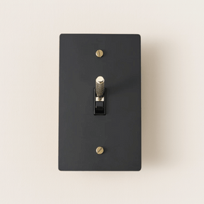 Black light switch plate with gold screws on a beige background