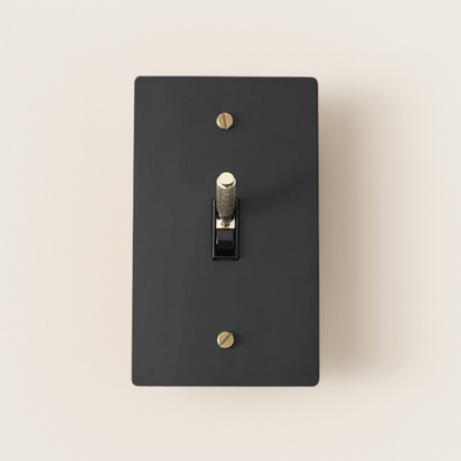 Black light switch plate with gold screws on a beige background