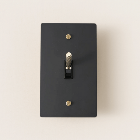 Black light switch plate with gold screws on a beige background