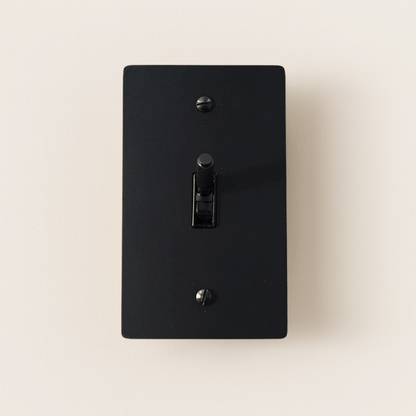 Black light switch cover on a beige background