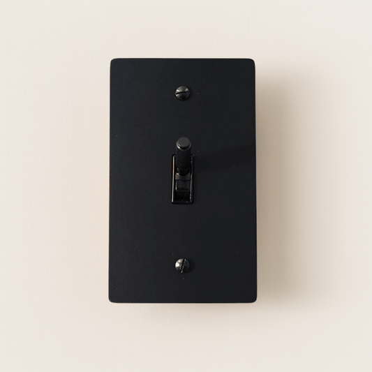 Black light switch cover on a beige background