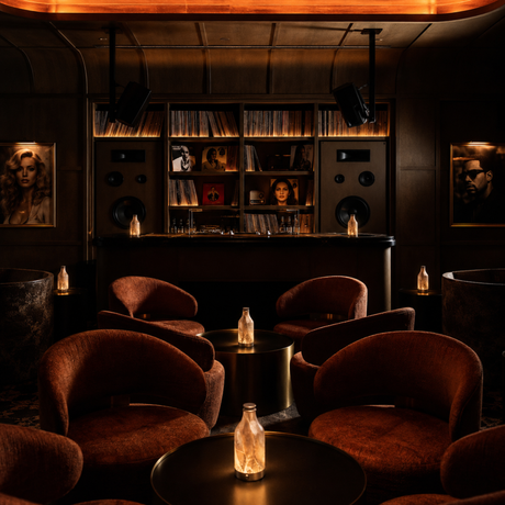 Dark, cozy lounge with brown chairs, dim lighting, and a shelf with records.