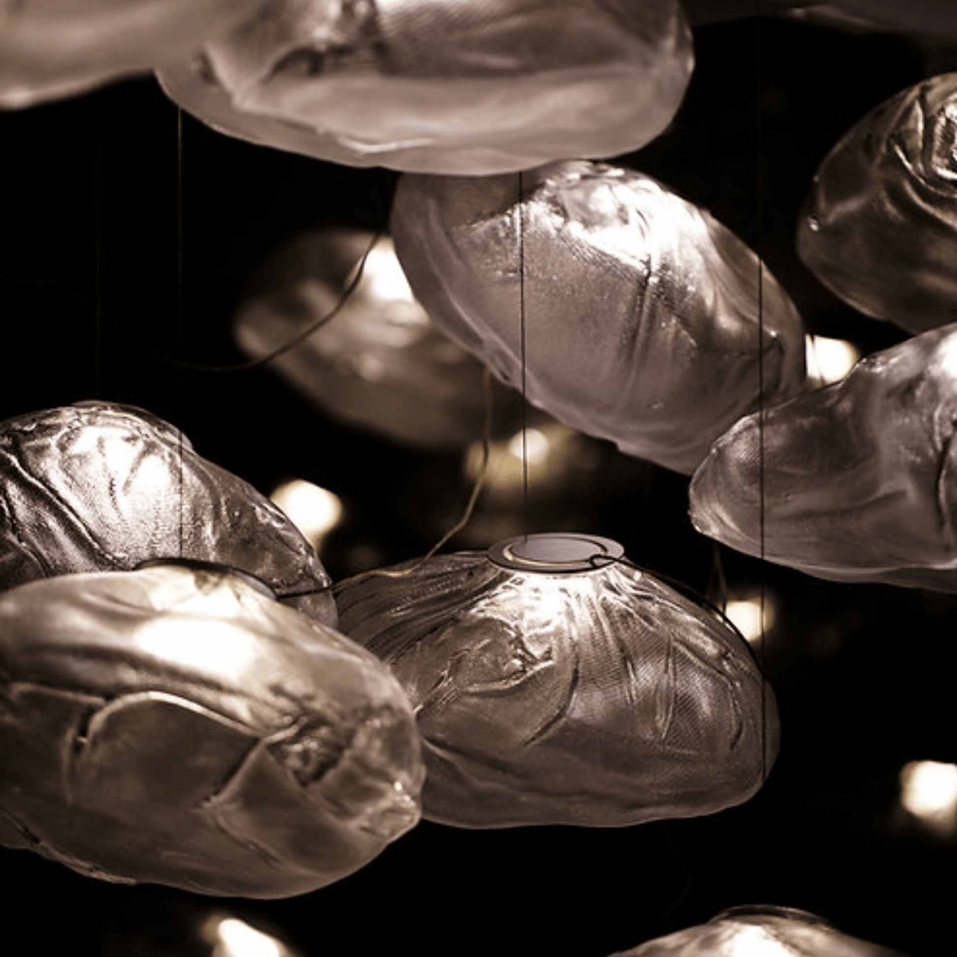 Decorative light fixtures shaped like flowers on a dark background