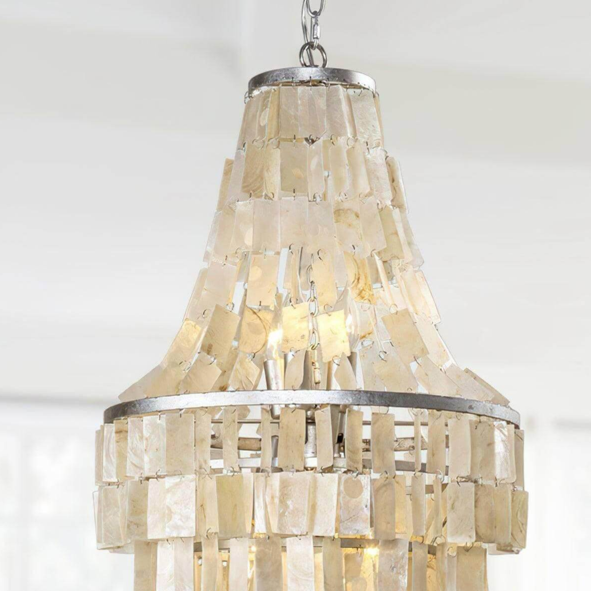 Chandelier with shell-like design on a white background