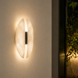 Modern wall light fixture on a neutral wall with a plant in the background