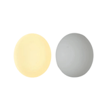 Concealed Base Glass Wall Lamps, a stunning addition to any modern home. 