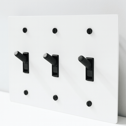 White wall plate with black toggle switches on a white background