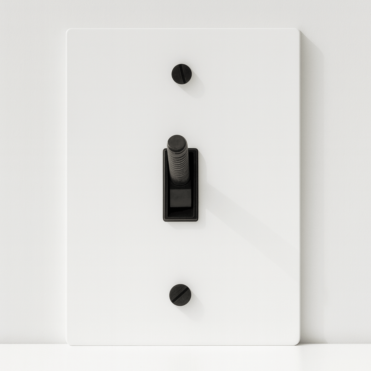 Light switch panel with black rocker switch on a white background