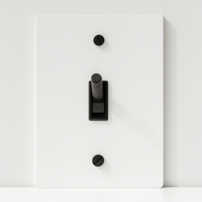 Light switch panel with black rocker switch on a white background