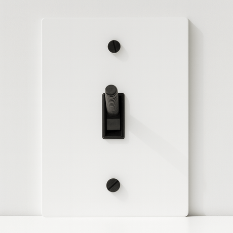 Light switch panel with black rocker switch on a white background