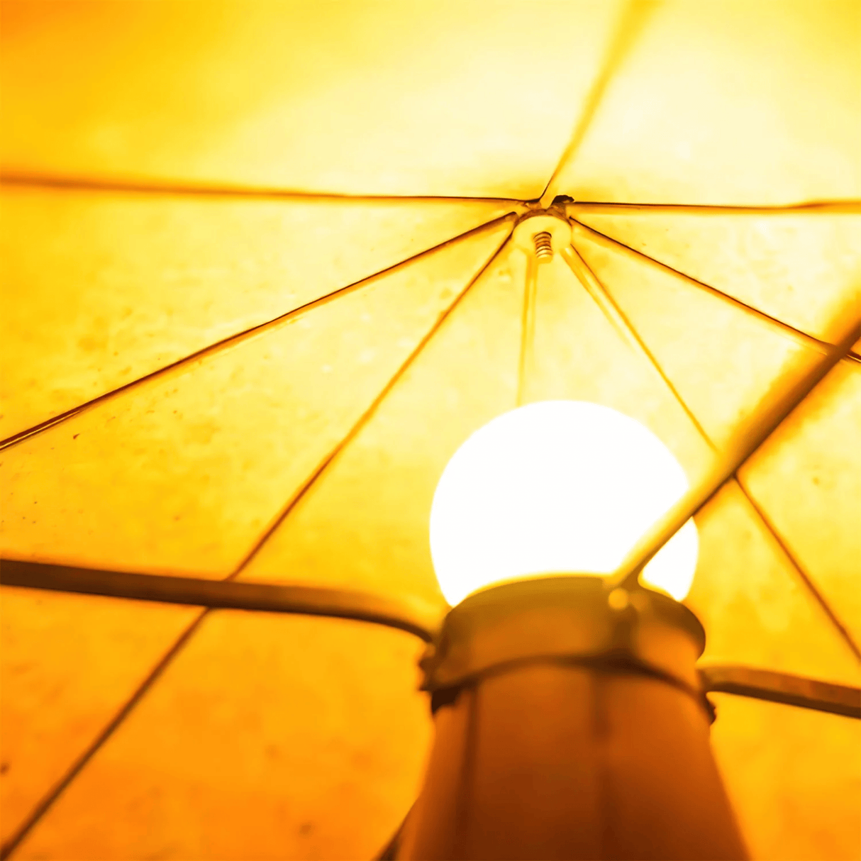 Close-up of a light bulb inside a yellow umbrella