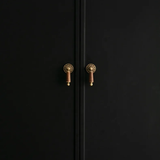 Black cabinet with gold handles on a black background