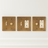 Three brass light switch and outlet covers on a white background