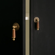 Close-up of a black door with brass handles and wooden knobs.