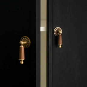 Close-up of a black door with brass handles and wooden knobs.