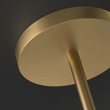 Gold ceiling light fixture against a dark background