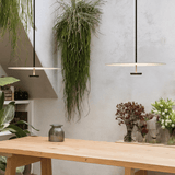 Modern interior with a wooden table, pendant lights, and decorative plants.