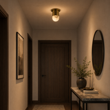 Dimly lit hallway with a door, light fixture, and decorative elements.
