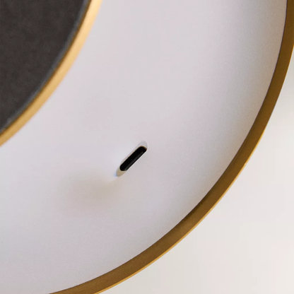 Close-up of a white surface with a gold rim and a small black object on a light gray background
