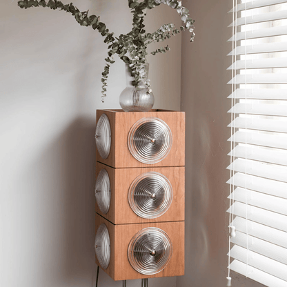 Wooden speaker with metallic cones on a stand, next to a vase with greenery against a neutral wall.