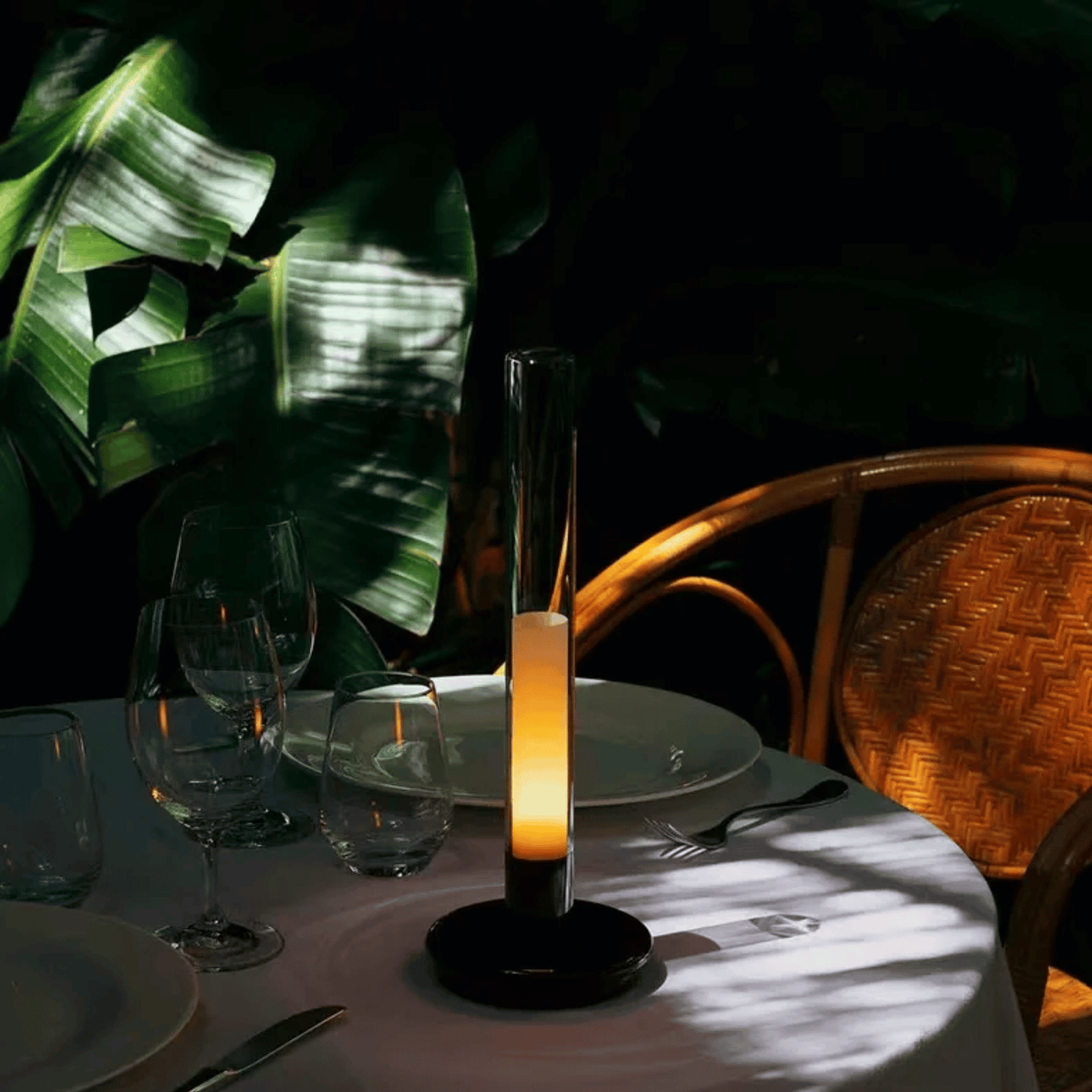 Dining table setting with a candle and glasses, surrounded by green plants.