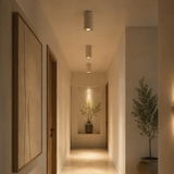 Modern hallway with decorative elements and soft lighting