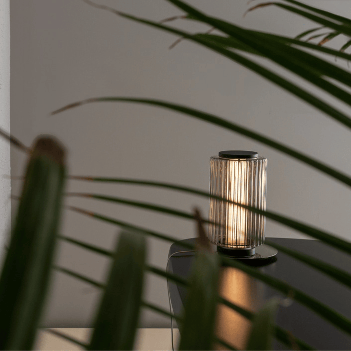 Decorative lamp on a table with plant leaves in the foreground