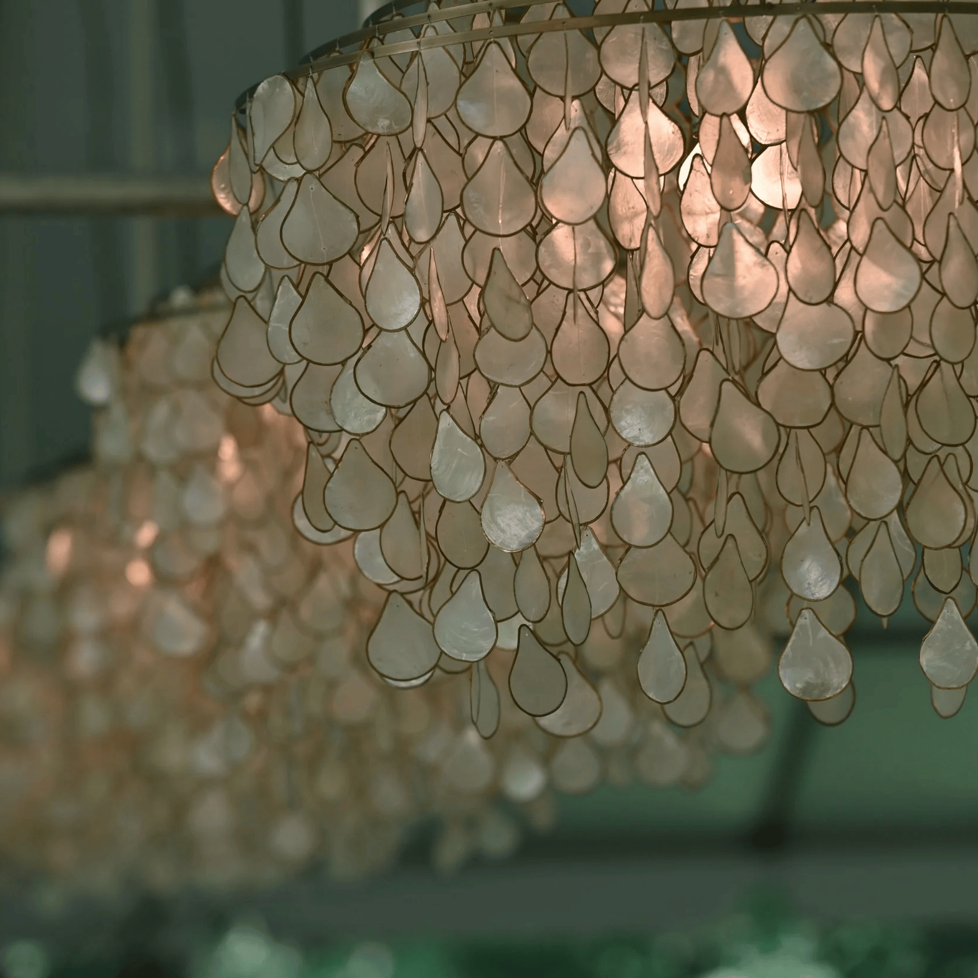 Close-up of a decorative chandelier with shell-like elements.
