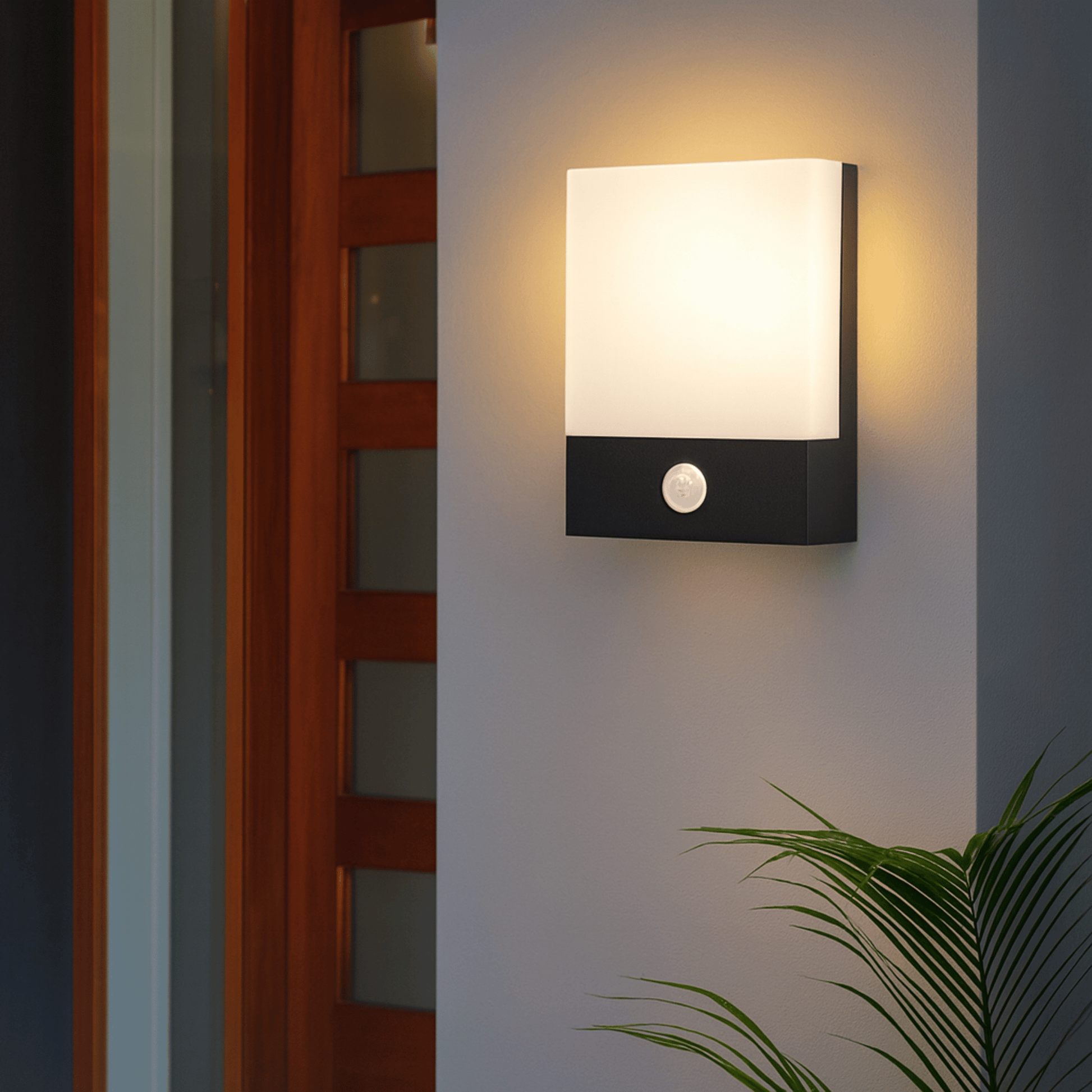 Modern outdoor wall light fixture on a white wall with a plant in the corner.