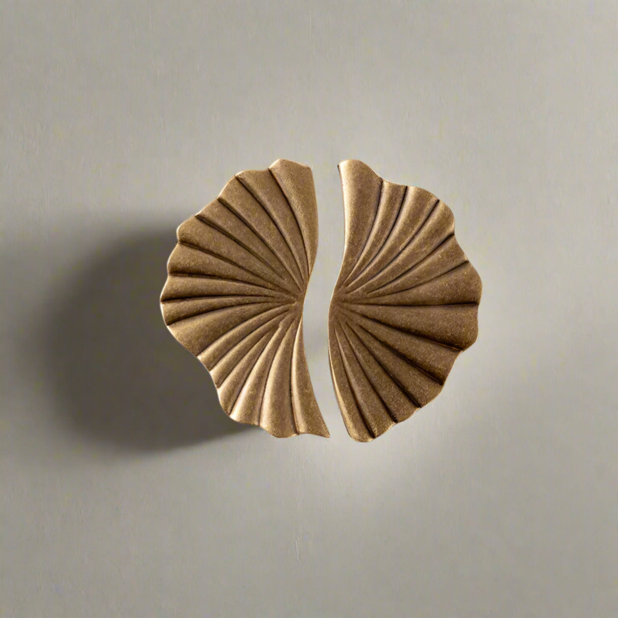 Pair of solid brass knobs on a white background