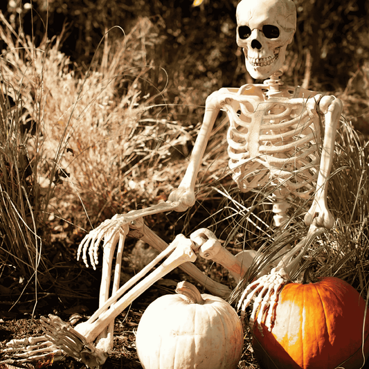 Terror Tommy – 65" Life-Size Hanging Halloween Skeleton