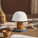 White lamp on a stone surface with a book and small plant