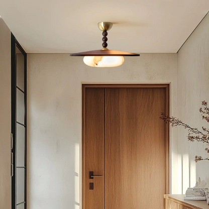 Ceiling light fixture in a room with a wooden door and minimal decor.