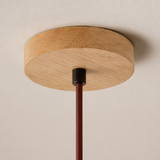 A close-up of a ceiling-mounted light fixture with a round natural wood ceiling canopy, a dark metal connector, and a dark reddish-brown hanging cord against a plain off-white wall.