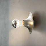 Chrome wall-mounted light fixture on a white wall with a plant in the corner.