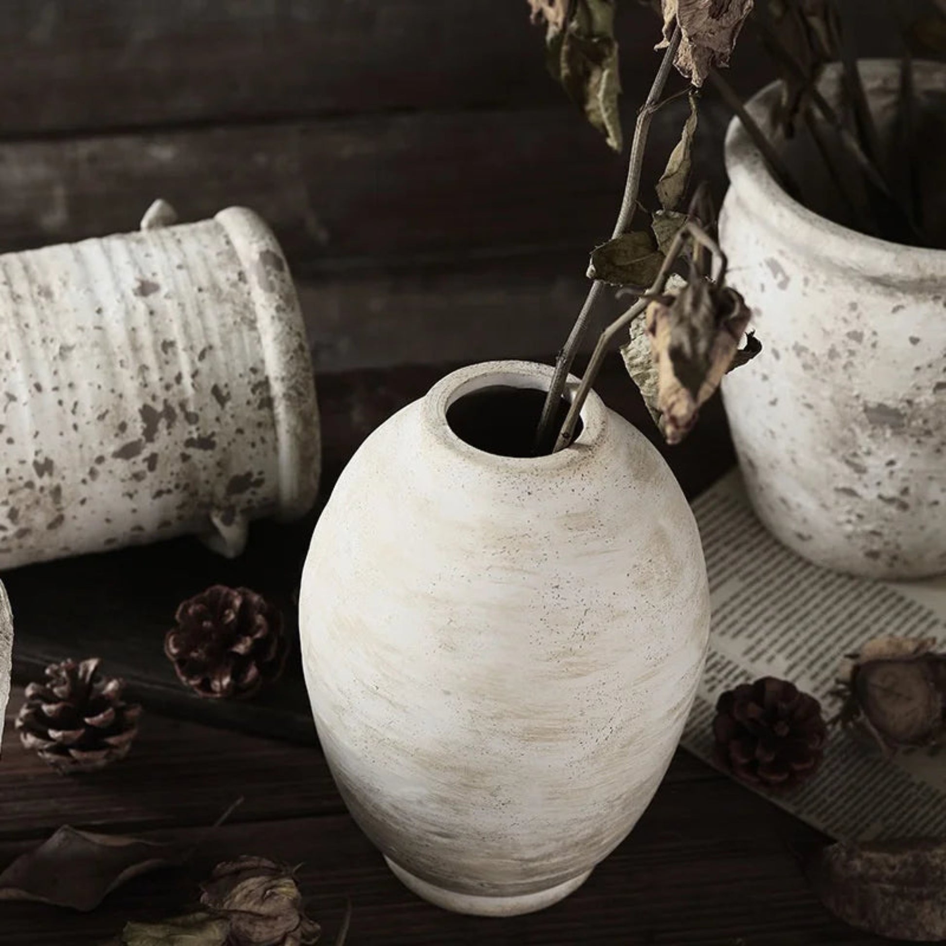 White textured vase with dried plant on a dark surface