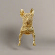 Gold dog figurine on a white background