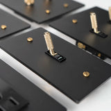 Close-up of black metal brackets with gold screws on a reflective surface